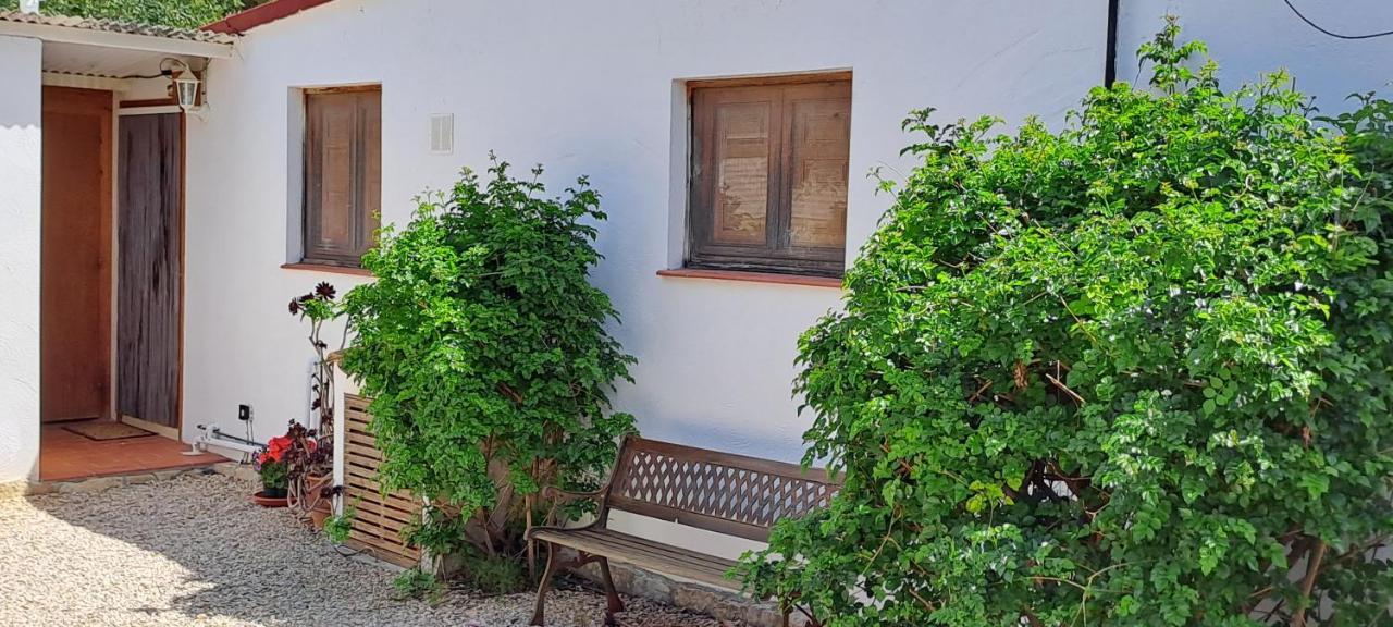 Gamundi Apartment L'Ampolla